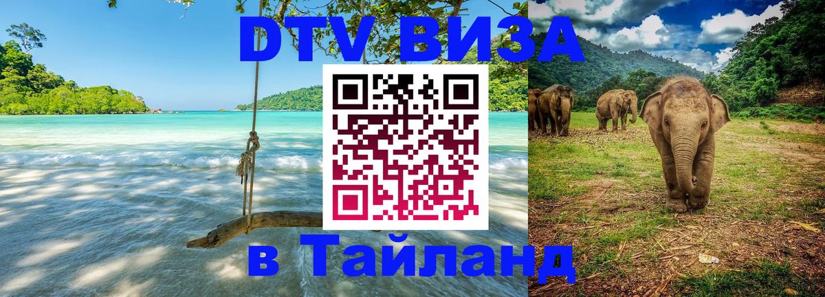 Сколько стоит DTV виза — актуальные цены, оформление даже без документов - Новокузнецк  21.11.2025 